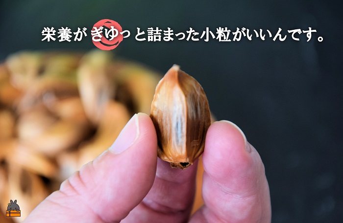 ～こだわりの小粒が魅力！～徳之島産黒ニンニク（100g） ( にんにく 健康食品 黒にんにく 自家栽培 徳之島 奄美 世界自然遺産 野菜 こだわり 完熟肥料 安心 安全 長寿 デコチャン農園 甘み フルーツのような美味しさ レターパック配送 ポストイン )