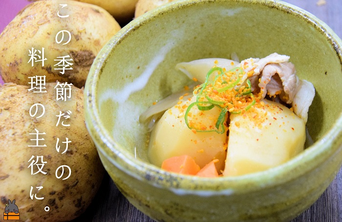 《2026年春お届け！》～これからは産地で選びたくなる～徳之島産新じゃがいも（10kg） ( バレイショ 野菜 旬 春 徳之島 奄美 鹿児島 肉じゃが カレー じゃがバター 美味しい 人気 オススメ )