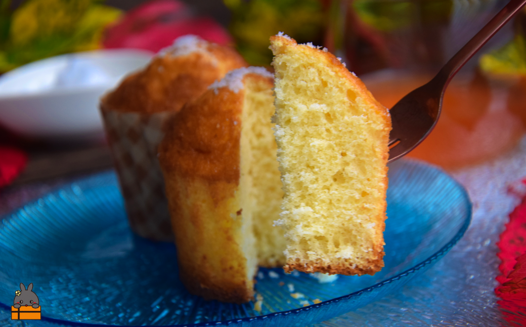 ïœåã®å³¶ã®äººæ°åºïœãããã¿ã©ãçŒèååºã®å¡©ããã£ã³ïŒ6åïŒ ( ãã ããã®å¡© å¡© ãµããµã çã¿ å¡©å³ æŽèå ã±ãŒã çŒèå åã®å³¶ 埳ä¹å³¶ 鹿å
å³¶ çŸå³ãã ã¹ã€ãŒã 人æ°åº )