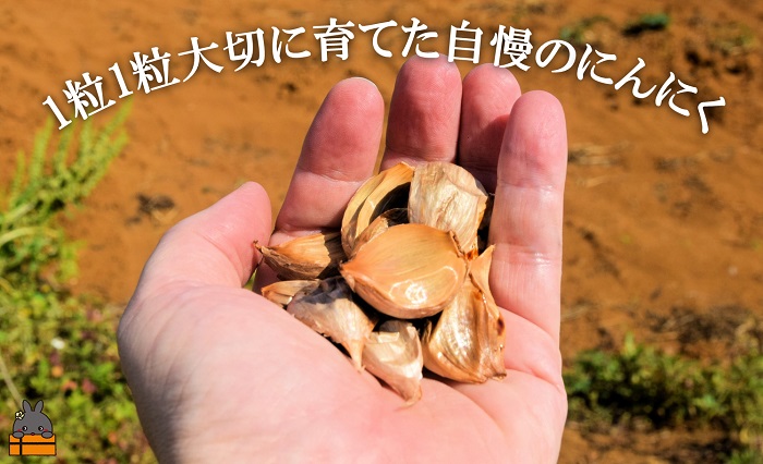 こだわりの波動熟成！ 鹿児島県徳之島産黒ニンニク（100g×3袋） ( にんにく ニンニク 熟成 GABA ポリフェノール Sアリルシスティン 健康食品 元気 長寿 徳之島 奄美 鹿児島 世界自然遺産 奄美海援隊 )