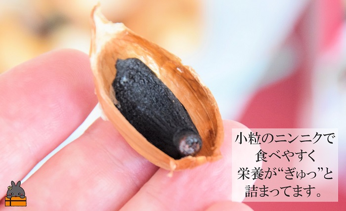 こだわりの波動熟成！ 鹿児島県徳之島産黒ニンニク（100g×2袋） ( にんにく ニンニク 熟成 GABA ポリフェノール Sアリルシスティン 健康食品 元気 長寿 徳之島 奄美 鹿児島 世界自然遺産 奄美海援隊 )