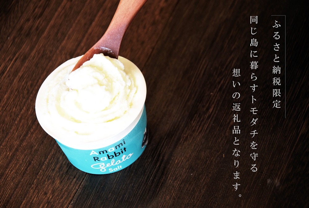 《年末（12月）お届け！》 ふるさと納税限定 美ら海の塩と濃厚ミルク。アマミラビットジェラート（Salt：8個）( アイス ジェラート スイーツ ウサギ うさぎ アマミノクロウサギ 濃厚 プレゼント ギフト 限定 世界自然遺産 徳之島町 鹿児島 人気 )
