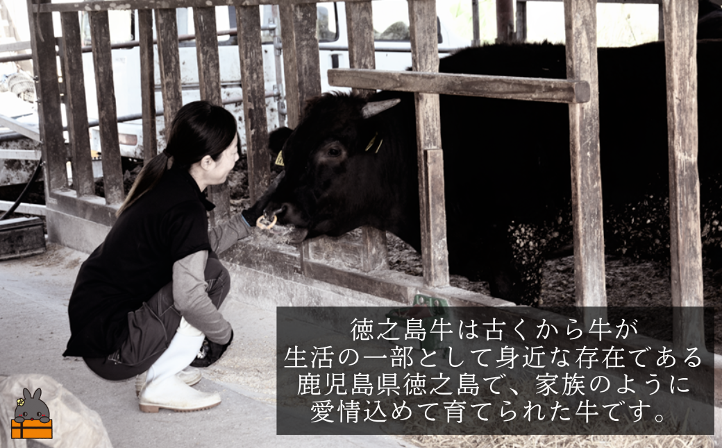 南原（はいばる）牧場 幻の徳之島牛 サーロインスライス 1000g ( 厳選 ロース プレミアム 高品質 鹿児島黒毛和牛 黒毛和牛 牛肉 万能 料理 徳之島 奄美 鹿児島 すき焼き しゃぶしゃぶ 和牛ギャング )