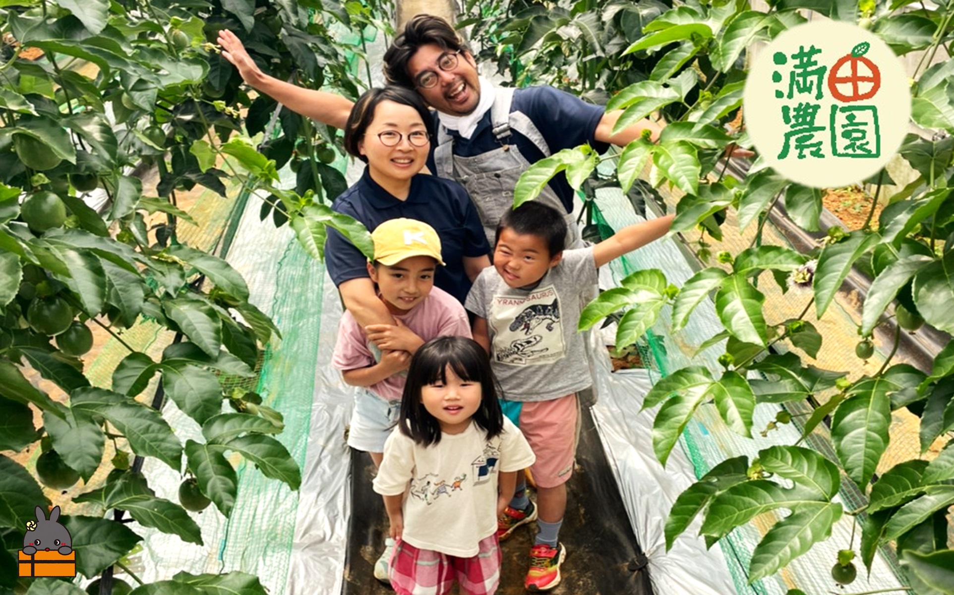 【先行予約】満田(みつだ)農園さんのパッションフルーツ（約600g）( 果物 フルーツ 酸味 甘み プチプチ 徳之島 奄美 鹿児島 美味しい 旬 南の島 世界自然遺産 みつだ農園 )
