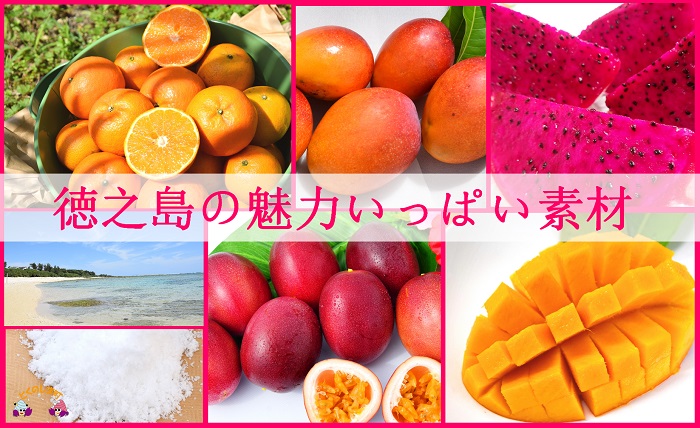 《年末（12月）お届け！》～完熟マンゴー＆パッション＆ドラゴンetc～徳之島プレミアムジェラート＆ソルベ  アイス スイーツ スイーツ 食べ比べ 5種類 マンゴー パッションフルーツ ドラゴンフルーツ ラムレーズン タンカン 塩 シークニン しょうが 向春草 シマアザミ アイスクリーム 洋菓子 徳之島 奄美 鹿児島 )