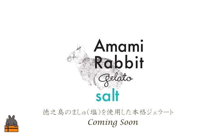 【ずっとともだちプロジェクト】プロジェクトオリジナル！アマミラビットジェラート～塩～（16個）