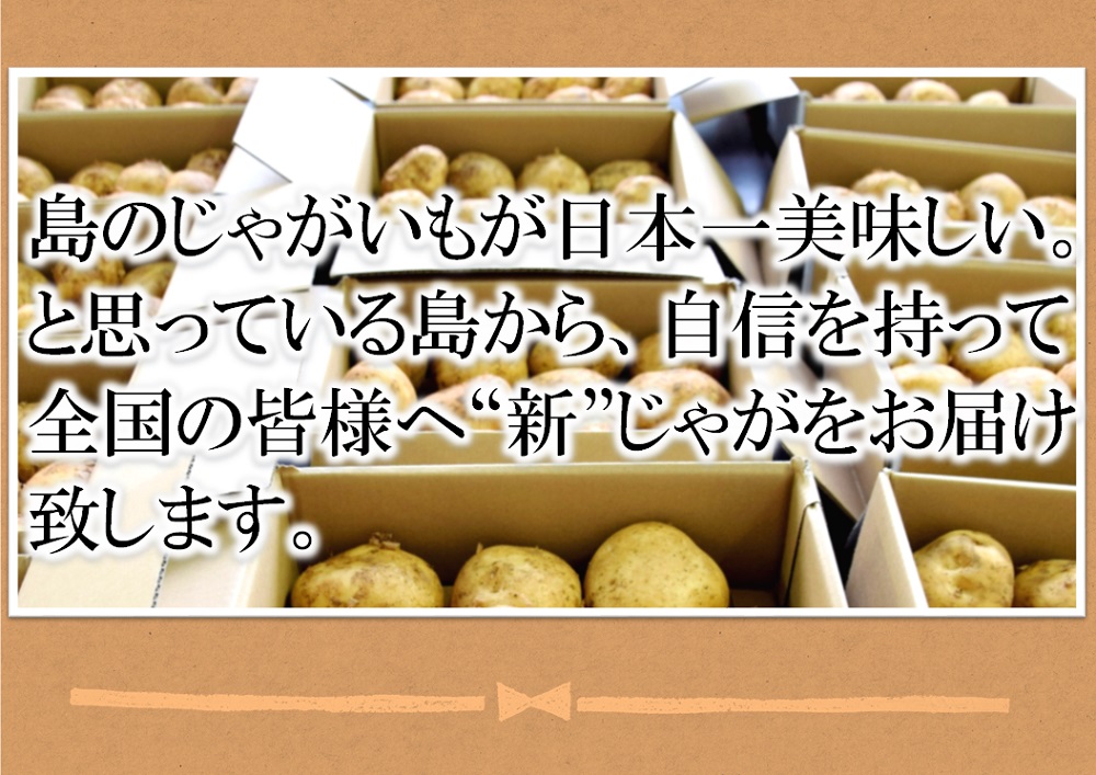 《先行予約》福祉作業所の仕事にもつながる！徳之島の“新”じゃがいも（3kg）( バレイショ 野菜 旬 春 徳之島 奄美 鹿児島 肉じゃが カレー じゃがバター 美味しい 人気 オススメ 福祉作業所 雇用 少量 お一人様 使いきり 2025年春お届け )