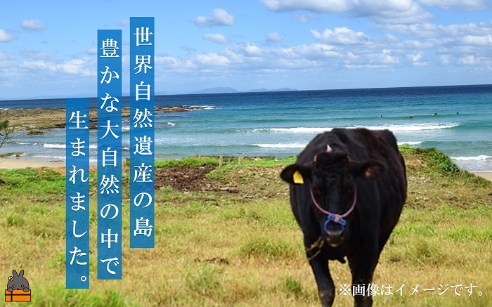 世界自然遺産の島。徳之島生まれ 5等級 鹿児島黒毛和牛 贅沢ロース焼肉 400g ( 5等級 鹿児島黒毛和牛 牛肉 ビーフ こだわり ロース 焼肉 BBQ 贅沢 こだわり 徳之島 奄美 鹿児島 世界自然遺産 大満足 安心 安全 スターゼン )