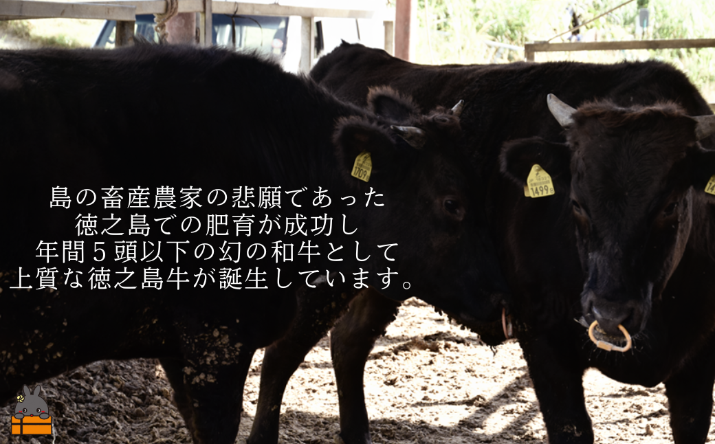 南原（はいばる）牧場 幻の徳之島牛 モモスライス 1000g ( 厳選 赤身 プレミアム 高品質 鹿児島黒毛和牛 黒毛和牛 牛肉 万能 料理 徳之島 奄美 鹿児島 すき焼き しゃぶしゃぶ 和牛ギャング )