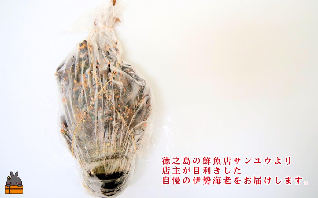 縲雁ケエ譛ォ縺雁ア翫¢縺顔エ譚溘区眠魄ョ縺ェ縺セ縺セ縺吶$蜀キ蜃!!蠕ウ荵句ウカ逕」蜀キ蜃堺シ雁兇豬キ閠1蟆セシ500gス700gシ シ 莨雁兇縺医ウ 繧、繧サ繧ィ繝 縺縺帙∴縺ウ 莨雁兇縺医ウ 莨雁兇繧ィ繝 縺医ウ 繧ィ繝 豬キ閠 骰 縺秘ヲウ襍ー 豬キ縺ョ蟷ク 譁咏炊 豬キ逕」迚ゥ 螳カ譌 豁」譛 繧ッ繝ェ繧ケ繝槭せ 縺顔・昴> 12譛磯埼 蟷エ譛ォ蟷エ蟋 繧オ繝ウ繝ヲ繧ヲ シ