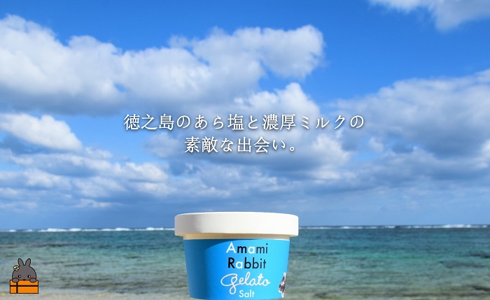 《年末（12月）お届け！》 ふるさと納税限定 美ら海の塩と濃厚ミルク。アマミラビットジェラート（Salt：8個）( アイス ジェラート スイーツ ウサギ うさぎ アマミノクロウサギ 濃厚 プレゼント ギフト 限定 世界自然遺産 徳之島町 鹿児島 人気 )