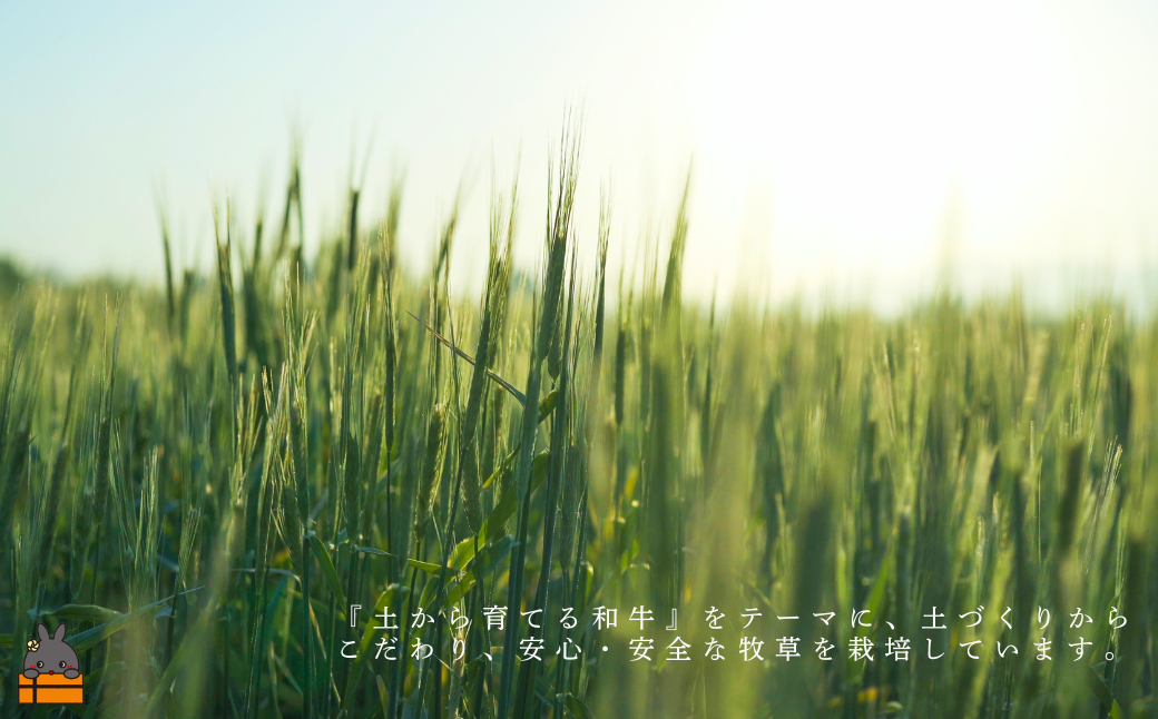 土から育てる和牛 鹿児島 ひらまつ和牛 切り落とし 800g   ( 平松牧場 厳選 プレミアム 鹿児島黒毛和牛 黒毛和牛 牛肉 徳之島 奄美 鹿児島 ギフト 循環 自然 )