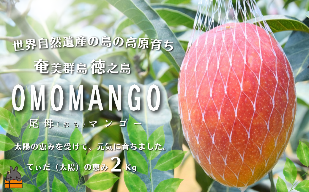竕ェ莉翫′譌ャシ≫沖蠕ウ荵句ウカ縺ョ鬮伜次閧イ縺。シ∝ーセ豈搾シ医♀繧ゑシ峨槭Φ繧エ繝シシ2kgシ シ 譫懃黄 繝輔Ν繝シ繝 蠕ウ荵句ウカ 螂鄒 鮖ソ蜈仙ウカ シ