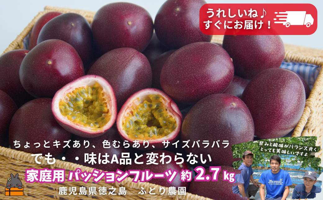 ãä»ãæ¬ïŒã埳ä¹å³¶ãµãšã蟲åããã®å®¶åºçšããã·ã§ã³ãã«ãŒãïŒçŽ2.7kgïŒ ( æç© ããã·ã§ã³ èš³ã¢ãª ãããã å®¶åºçš ãã«ãŒã é
žå³ çã¿ ãããã 埳ä¹å³¶ å¥çŸ 鹿å
å³¶ çŸå³ãã æ¬ åã®å³¶ äžçèªç¶éºç£ ææš¹ ãµãšã蟲å )