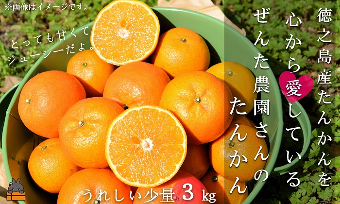 《先行予約》徳之島産たんかんを心から愛している。ぜんた農園さんのたんかん（3kg）