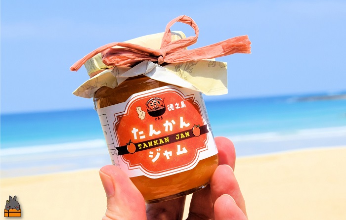 徳之島産フルーツ使用！低糖度の徳之島完熟たんかんジャム＆すももジャム（100g×2） （ たんかん すもも 完熟 ジャム パン 果物 フルーツ 徳之島 奄美 鹿児島 キッチンこころ ）