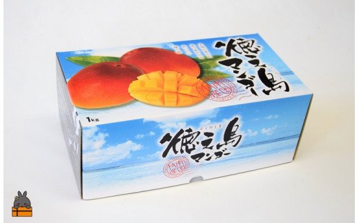 ≪先行予約≫徳之島センチュリー果樹園の完熟マンゴー（1㎏）（2玉～3玉）  ( マンゴー フルーツ 果物 完熟 無加温 徳之島 世界自然遺産 美味しい とろける 旬 贅沢 糖度 南の島 )