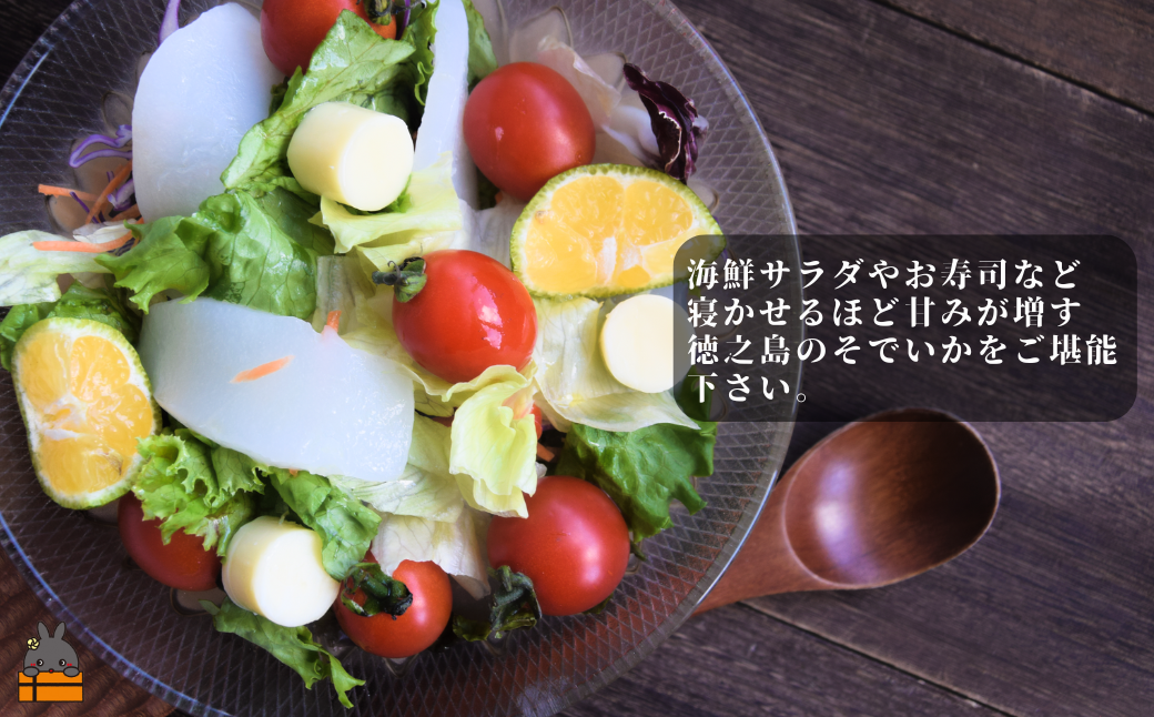 徳之島の漁師が荒波で釣り上げたそでいか 冷凍お刺身用小分け柵 1.5kg（約15人前） （ ソデイカ いか イカ 大型のいか 回遊 お刺身 甘い ねっとり 冷凍 新鮮 お寿司 料理 徳之島 奄美 沖縄 鹿児島 海鮮 umi-otoとくのしま ）