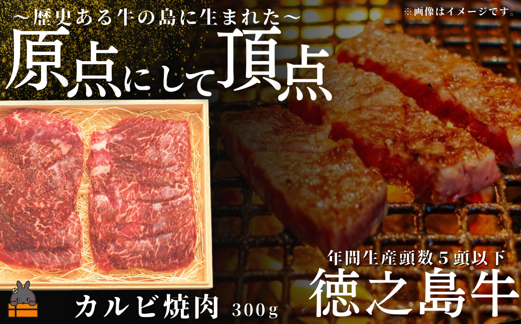 南原（はいばる）牧場 幻の徳之島牛 カルビ焼肉 300g ( 厳選 焼肉 プレミアム 高品質 鹿児島黒毛和牛 黒毛和牛 牛肉 万能 料理 徳之島 奄美 鹿児島 和牛ギャング )