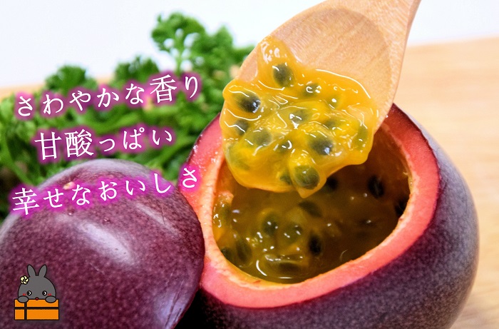 äžçèªç¶éºç£ã®å³¶ 埳ä¹å³¶ ããããšãïŒããŒãã ããïŒå®æäŸ¿ ( å®æäŸ¿ ïŒççŽ é¹¿å
å³¶é»ç æç© éè çè ãã«ãŒã ãã³ãŽãŒ ããã·ã§ã³ãã«ãŒã ããããã 黿¯åç ã¹ããŒã ããçŒã ããã¶ãã㶠埳ä¹å³¶ å¥çŸ 鹿å
å³¶ æ¬ ãã¬ãã¢ã )