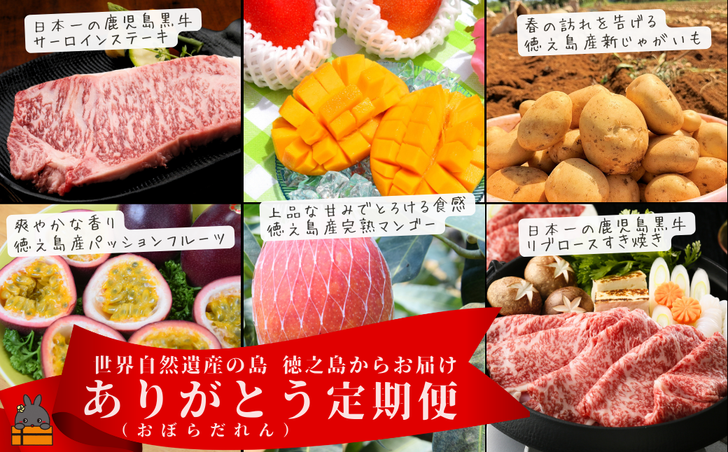 世界自然遺産の島 徳之島 ありがとう（おぼらだれん）定期便 ( 定期便 ５等級 鹿児島黒牛 果物 野菜 牛肉 フルーツ マンゴー パッションフルーツ じゃがいも 黒毛和牛 ステーキ すき焼き しゃぶしゃぶ 徳之島 奄美 鹿児島 旬 プレミアム )