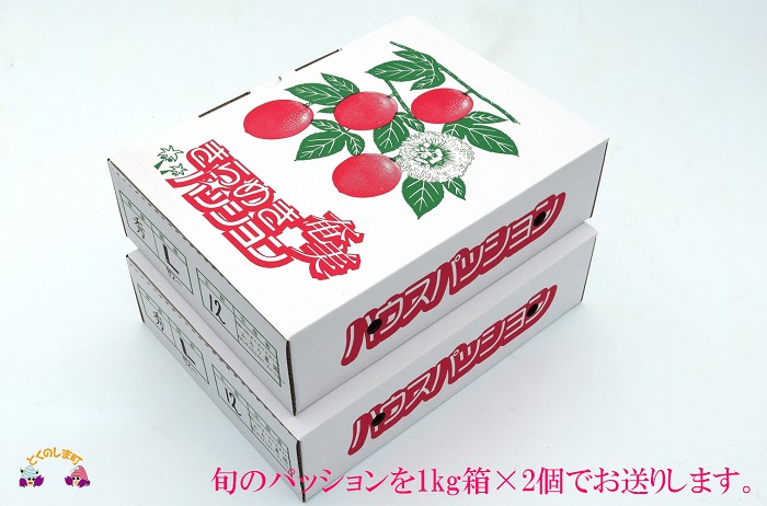 【今が旬！】～徳之島から爽やかな香りを～富田園芸さんのパッションフルーツ（約2kg） ( パッションフルーツ 果物 フルーツ 旬 南国 香り 奄美 徳之島 鹿児島 美味しい )