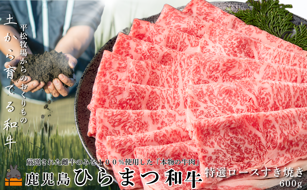 土から育てる和牛 鹿児島 ひらまつ和牛 特選ロースすき焼き 600g  ( 平松牧場 厳選 プレミアム 鹿児島黒毛和牛 黒毛和牛 牛肉 徳之島 奄美 鹿児島 ギフト 循環 自然 )