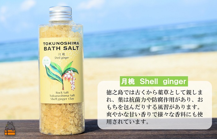 南の島育ちの素敵なバスソルト TOKUNOSHIMA BATH SALT（月桃3本） ( 月桃 バスソルト 入浴剤 お風呂 美容 日用品 徳之島 奄美 鹿児島 リラックス 島素材 こだわり あたたまる )