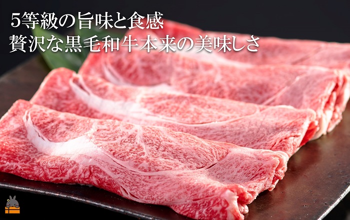 《年末受付》徳之島 美味しいモノ定期便 ( 鹿児島黒毛和牛 5等級 牛肉 完熟マンゴー パッションフルーツ すき焼き 果物 徳之島 奄美 鹿児島 )
