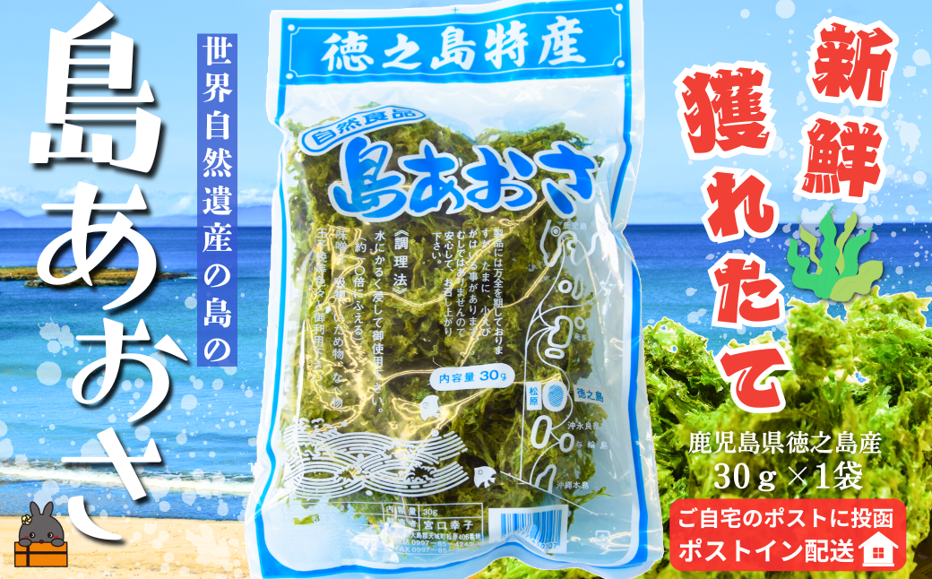 【2026年とれたて！】煌きの海からの恵み！島あおさ（1袋）【ポストイン配送】( アオサ あおさ のり 海苔 乾物 徳之島 奄美 鹿児島 お味噌汁 料理 てんぷら 卵焼き 美味しい 新鮮 )