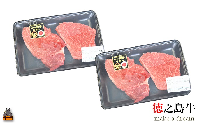 年間生産５頭以下！ 幻の徳之島牛ヒレステーキ（600g）( 徳之島牛 黒毛和牛 プレミアム 稀少 牛肉 徳之島 奄美 鹿児島 ステーキ 限定 JA食肉かごしま )