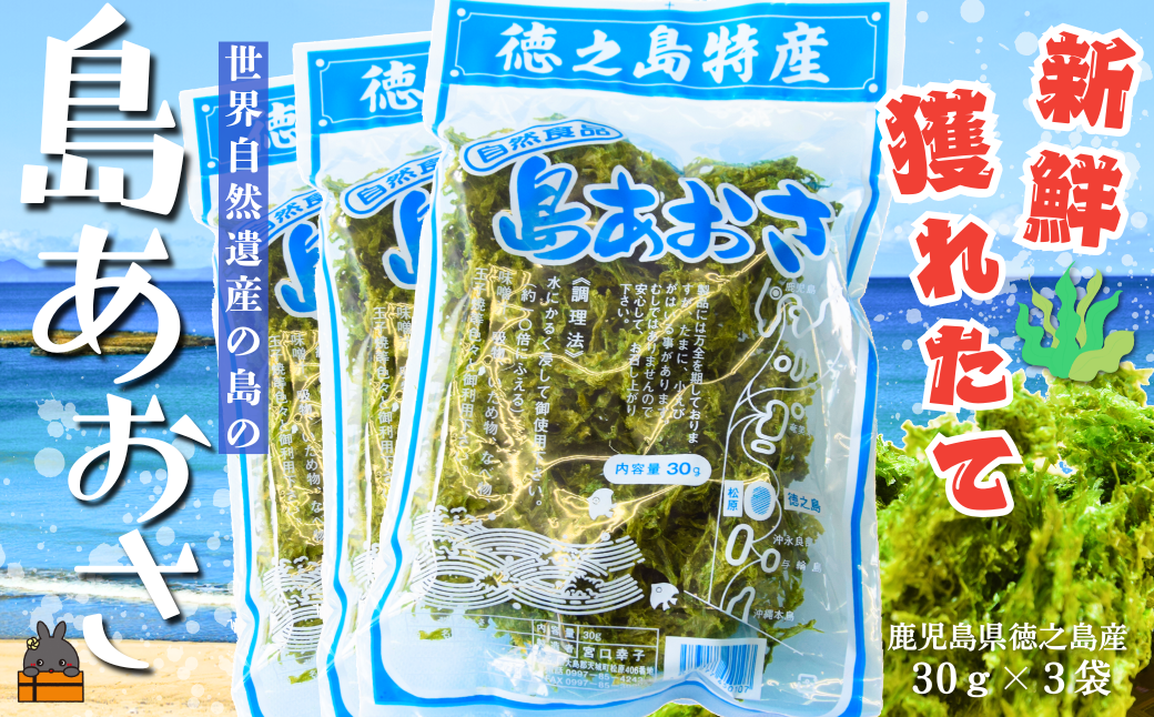 【2026年とれたて！】煌きの海からの恵み！島あおさ（3袋）( アオサ あおさ のり 海苔 乾物 徳之島 奄美 鹿児島 お味噌汁 料理 てんぷら 卵焼き 美味しい 新鮮 )
