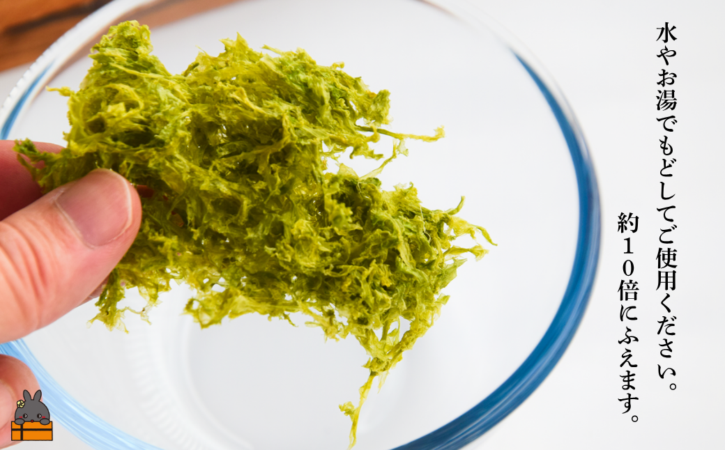 【2026年とれたて！】自然食品 徳之島特産 青海苔（アオサ）（2袋）【ポストイン配送】( アオサ あおさ のり 海苔 乾物 徳之島 奄美 鹿児島 お味噌汁 料理 てんぷら 卵焼き 美味しい 新鮮 )