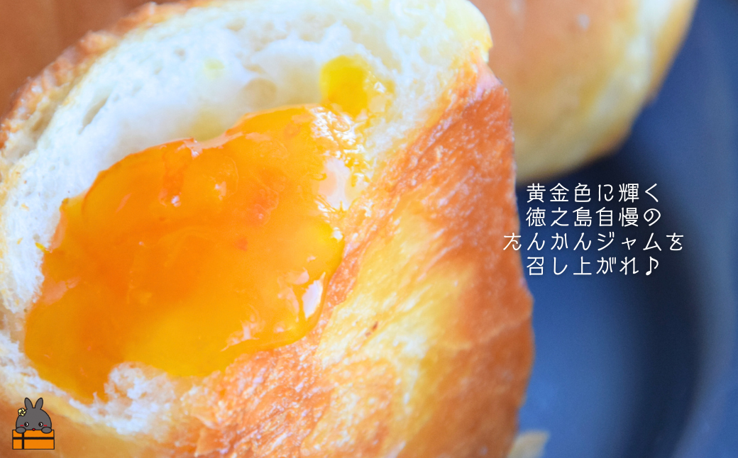 《徳之島町オリジナル！》アマミノクロウサギ共生たんかんジャム 160g　( ジャム アマミノクロウサギ ウサギ うさぎ 共生 自然保護 たんかんジャム たんかん パッションフルーツ フルーツ 果物 徳之島 鹿児島 美農里館 世界自然遺産 武蔵野大学 )