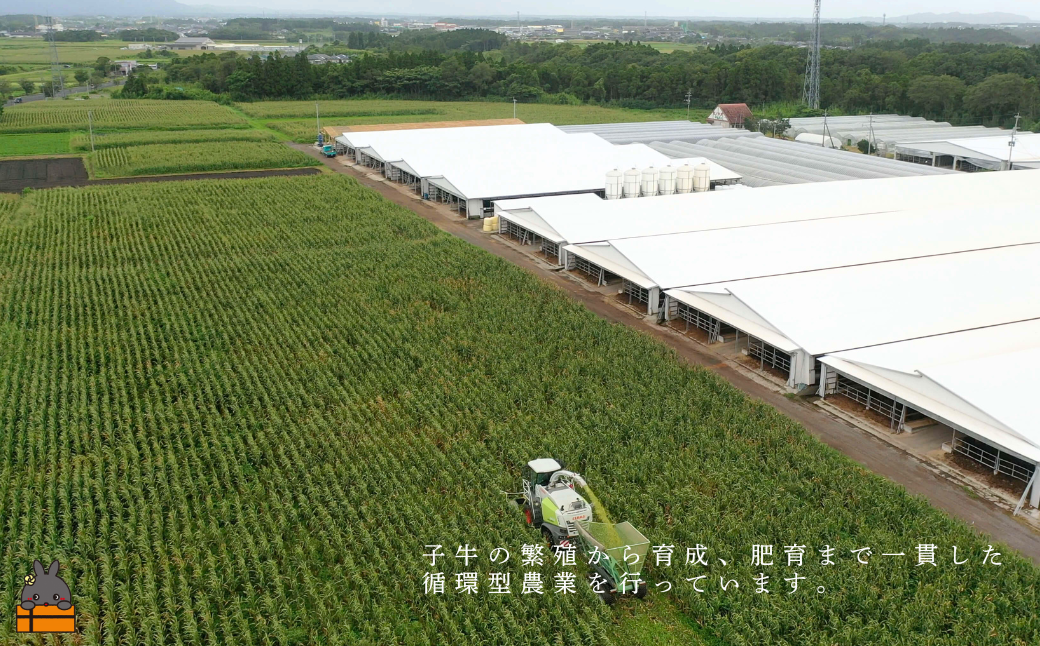 土から育てる和牛 鹿児島 ひらまつ和牛 サーロインステーキ 600g (200g×3) ( 平松牧場 厳選 プレミアム 鹿児島黒毛和牛 黒毛和牛 牛肉 徳之島 奄美 鹿児島 ギフト 循環 自然 )