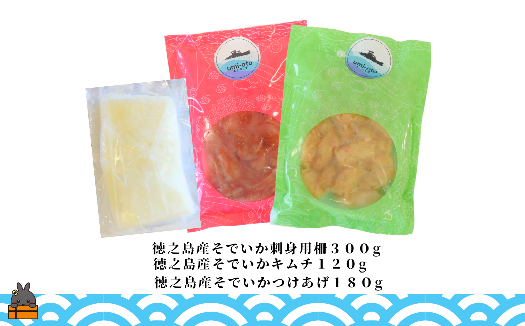 徳之島の漁師が荒波で釣り上げたそでいか 3種盛り お刺身・いかキムチ・つけあげ （ ３つの美味しさ ソデイカ いか イカ 大型のいか 回遊 お刺身 甘い ねっとり 冷凍 新鮮 お寿司 料理 徳之島 奄美 沖縄 鹿児島 海鮮 umi-otoとくのしま ）