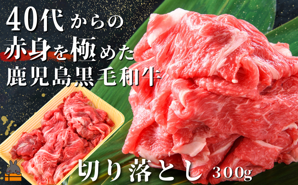 40代からの赤身を極めた鹿児島黒毛和牛切り落とし300g ( 厳選 赤身 プレミアム 高品質 鹿児島黒毛和牛 黒毛和牛 牛肉 万能 料理 徳之島 奄美 鹿児島 すき焼き しゃぶしゃぶ 高島屋 )