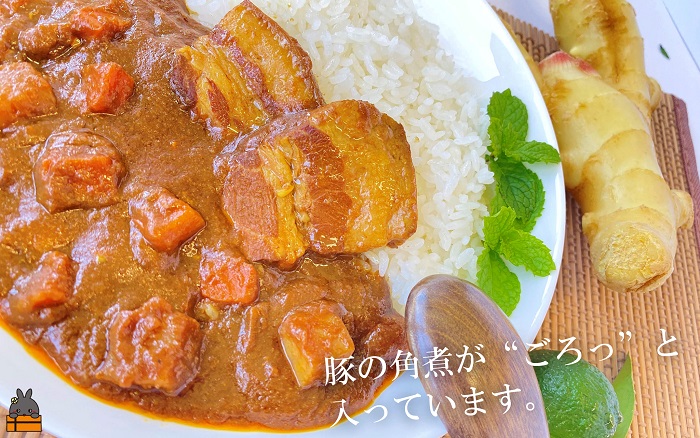 ～島豚の角煮が“ごろっ”～徳之島豚角煮カレー（中辛）200g×6食