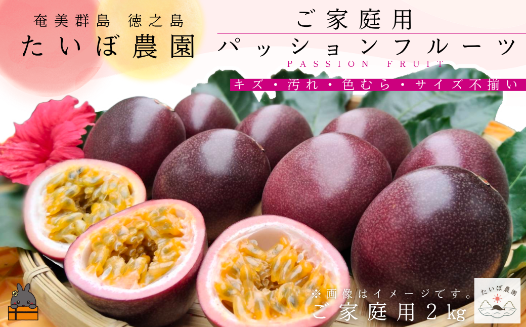 ≪今が旬！≫ 　徳之島 たいぼ農園さんのご家庭用パッションフルーツ（2㎏）( 訳あり わけあり 訳有 果物 パッション フルーツ 徳之島 奄美 鹿児島 美味しい 旬 南の島 世界自然遺産 )