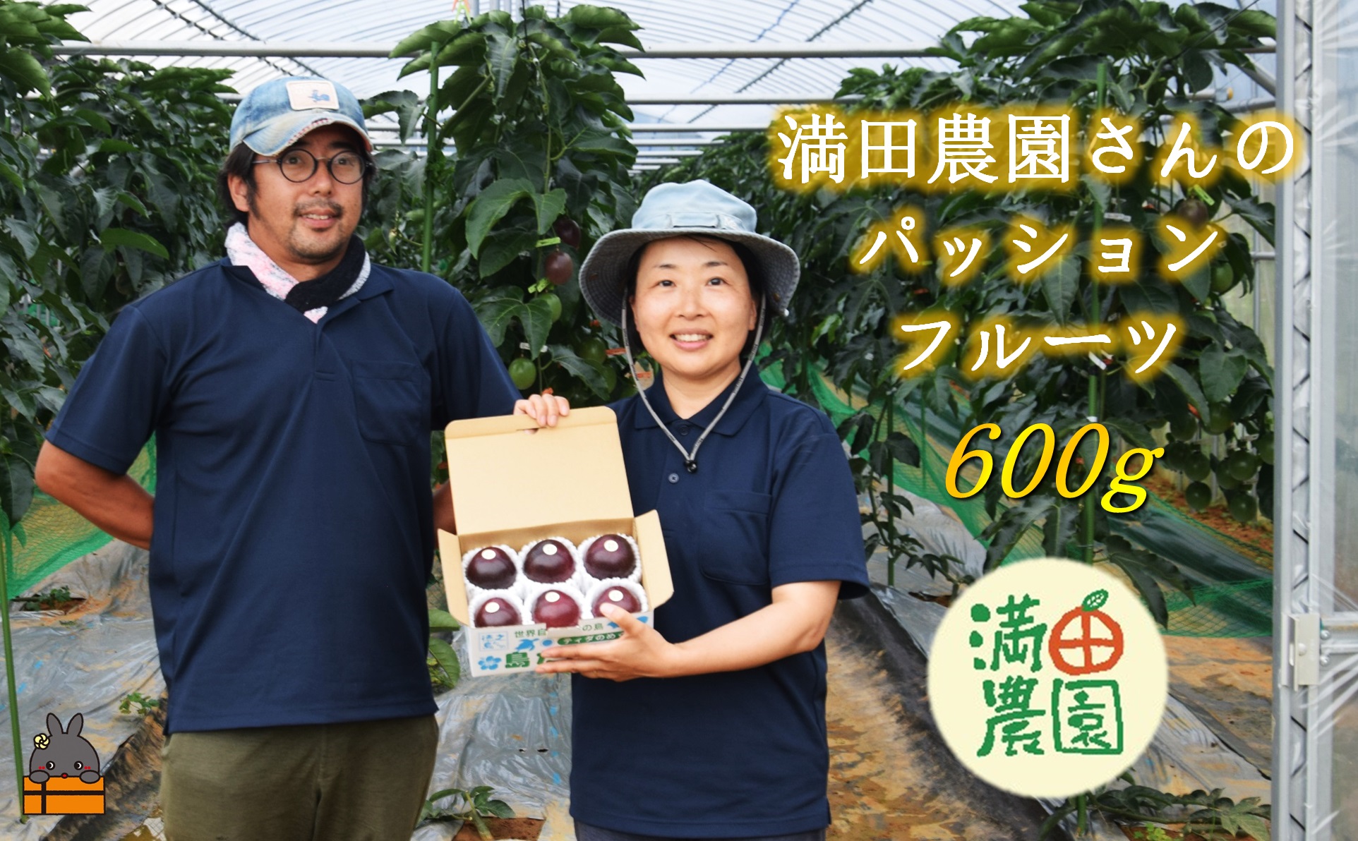 【先行予約】満田(みつだ)農園さんのパッションフルーツ（約600g）( 果物 フルーツ 酸味 甘み プチプチ 徳之島 奄美 鹿児島 美味しい 旬 南の島 世界自然遺産 みつだ農園 )