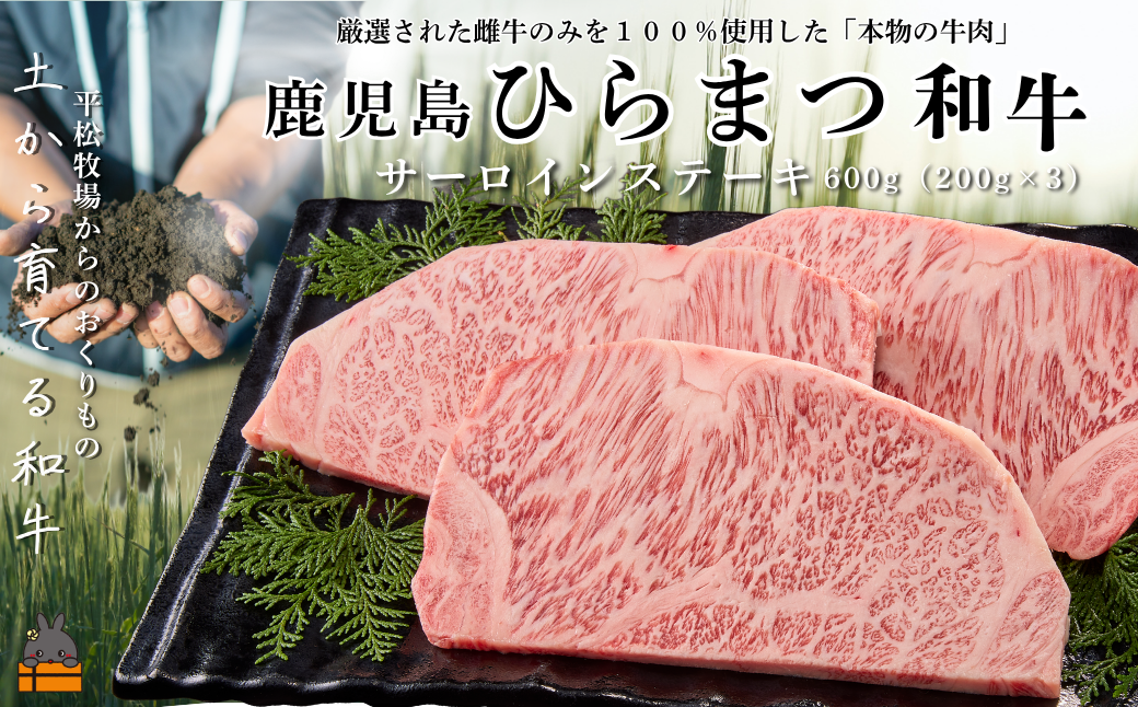 土から育てる和牛 鹿児島 ひらまつ和牛 サーロインステーキ 600g (200g×3) ( 平松牧場 厳選 プレミアム 鹿児島黒毛和牛 黒毛和牛 牛肉 徳之島 奄美 鹿児島 ギフト 循環 自然 )