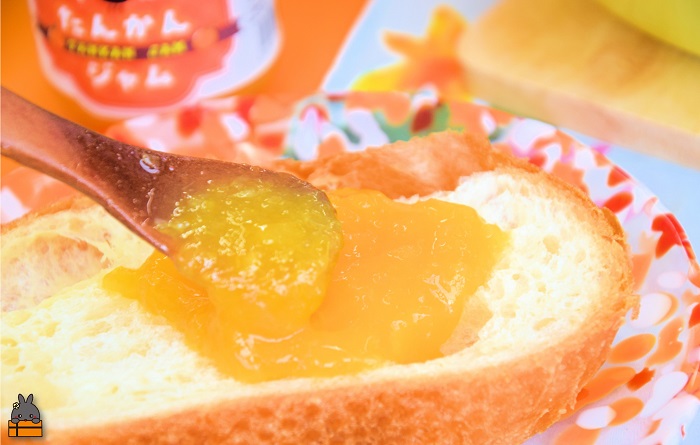 徳之島産フルーツ使用！低糖度の徳之島完熟たんかんジャム＆すももジャム（100g×2） （ たんかん すもも 完熟 ジャム パン 果物 フルーツ 徳之島 奄美 鹿児島 キッチンこころ ）