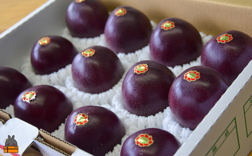 《今が旬！》太陽が育てた徳之島産パッションフルーツ（1kg）( 旬 フルーツ 果物 島フルーツ 酸味 甘み 徳之島 奄美 鹿児島 プチプチ 食感 果汁 フレッシュ 美味しい 美容 美味しい オススメ )