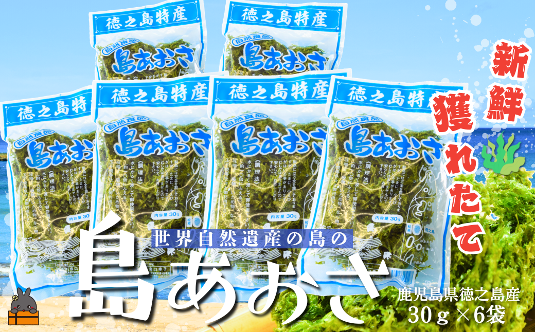 《2026年とれたて！》徳之島産「島あおさ」（30g×6袋）( アオサ あおさ のり 海苔 乾物 徳之島 奄美 鹿児島 お味噌汁 料理 てんぷら 卵焼き 美味しい 新鮮 )