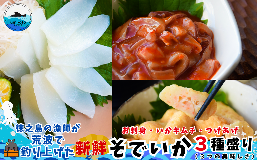 徳之島の漁師が荒波で釣り上げたそでいか 3種盛り お刺身・いかキムチ・つけあげ （ ３つの美味しさ ソデイカ いか イカ 大型のいか 回遊 お刺身 甘い ねっとり 冷凍 新鮮 お寿司 料理 徳之島 奄美 沖縄 鹿児島 海鮮 umi-otoとくのしま ）