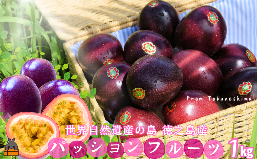 《今が旬！》太陽が育てた徳之島産パッションフルーツ（1kg）( 旬 フルーツ 果物 島フルーツ 酸味 甘み 徳之島 奄美 鹿児島 プチプチ 食感 果汁 フレッシュ 美味しい 美容 美味しい オススメ )