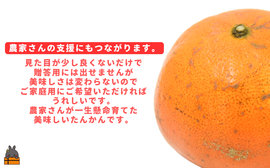 《今が旬！》（家庭用）見た目は△！でも味は◎！徳之島産“もぎたて”たんかん（5kg） （ 訳あり 訳有 わけあり ワケ有 タンカン フルーツ みかん 果物 柑橘 甘い 徳之島 奄美 鹿児島 もぎたて フレッシュ 世界自然遺産 フルーツアイランド 先行予約）