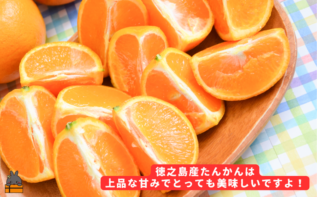 《今が旬！》（家庭用）見た目は△！でも味は◎！徳之島産“もぎたて”たんかん（5kg） （ 訳あり 訳有 わけあり ワケ有 タンカン フルーツ みかん 果物 柑橘 甘い 徳之島 奄美 鹿児島 もぎたて フレッシュ 世界自然遺産 フルーツアイランド 先行予約）