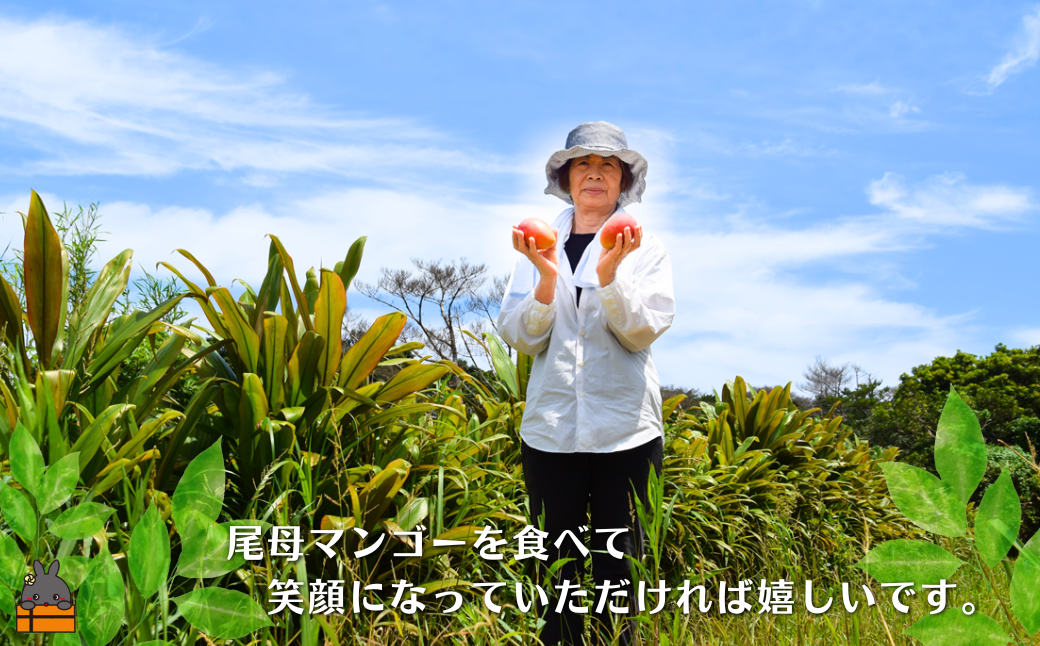 竕ェ莉翫′譌ャシ≫沖蠕ウ荵句ウカ縺ョ鬮伜次閧イ縺。シ∝ーセ豈搾シ医♀繧ゑシ峨槭Φ繧エ繝シシ1kgシ シ 譫懃黄 繝輔Ν繝シ繝 蠕ウ荵句ウカ 螂鄒 鮖ソ蜈仙ウカ シ