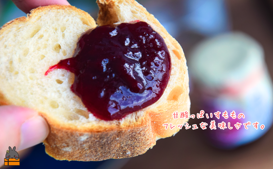 徳之島産すもも使用！低糖度の徳之島すももジャム（100g×2） （ すもも 完熟 ジャム パン 朝ごはん 果物 フルーツ 徳之島 奄美 鹿児島 美味しい キッチンこころ ）